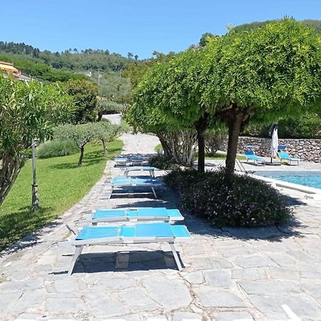莱里奇Casa Degli Ulivi公寓 外观 照片